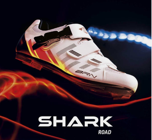 Scarpe BRN Shark Road